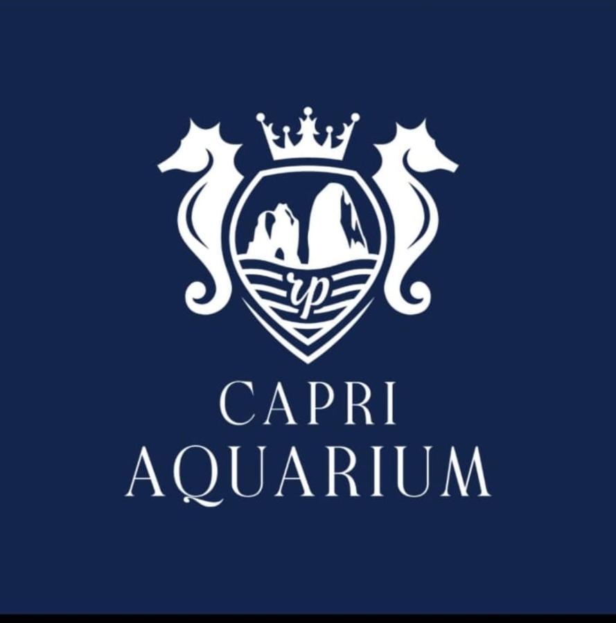 Capri Aquarium Family - Vacation Home Экстерьер фото
