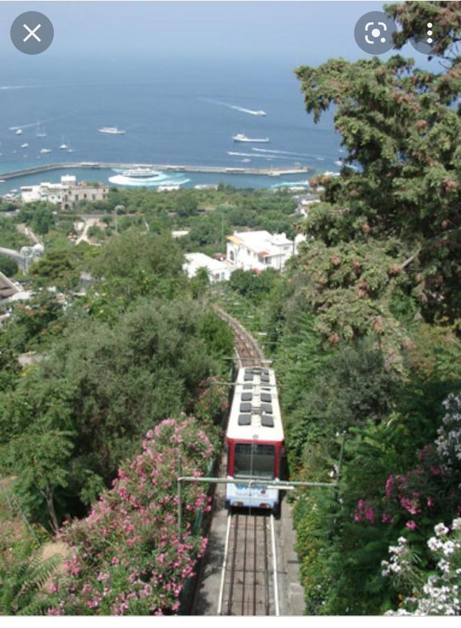 Capri Aquarium Family - Vacation Home Экстерьер фото